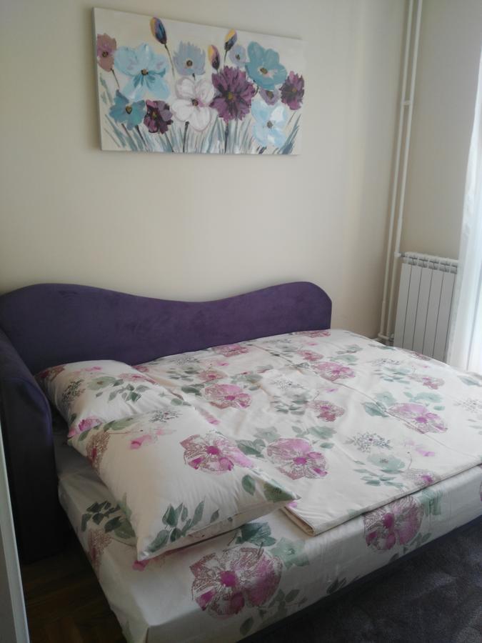 Vlado Apartment Belgrad Dış mekan fotoğraf