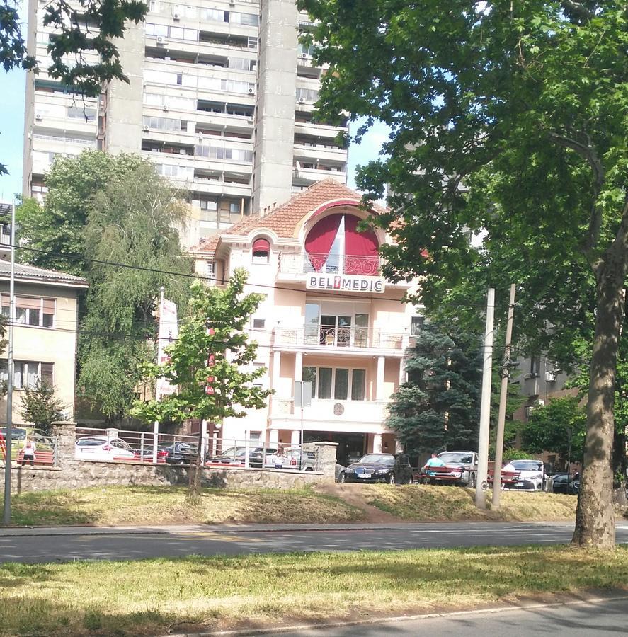 Vlado Apartment Belgrad Dış mekan fotoğraf