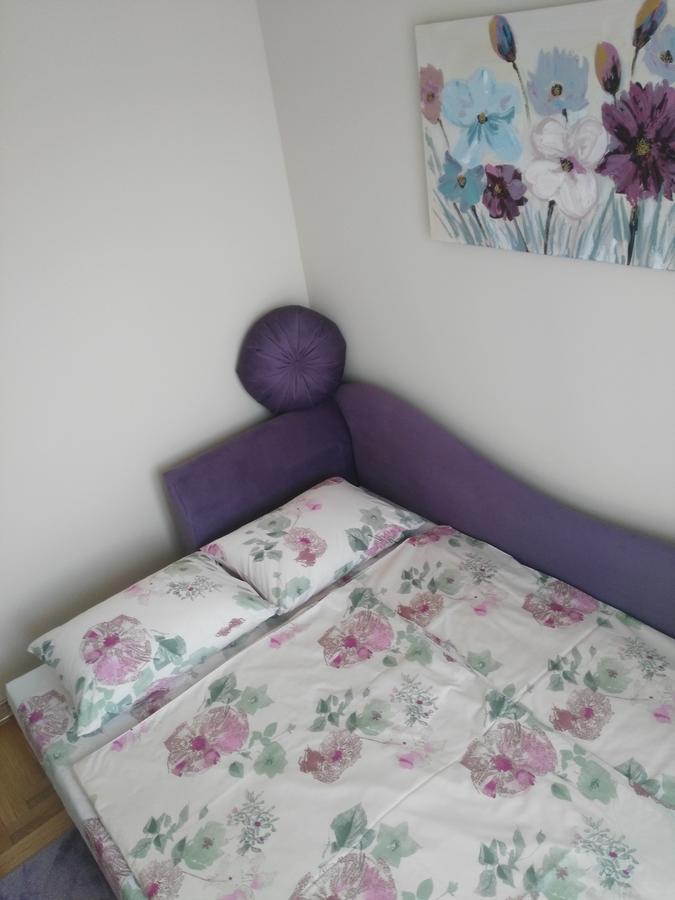 Vlado Apartment Belgrad Dış mekan fotoğraf
